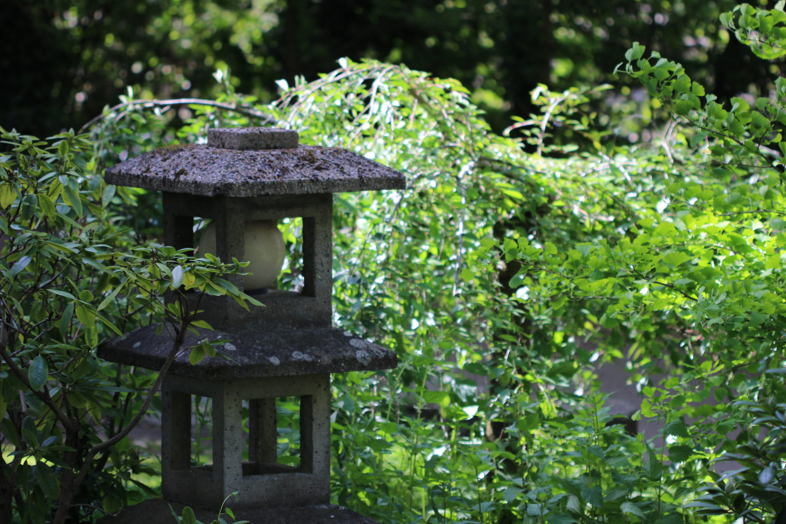 jardin japonais détente relaxation