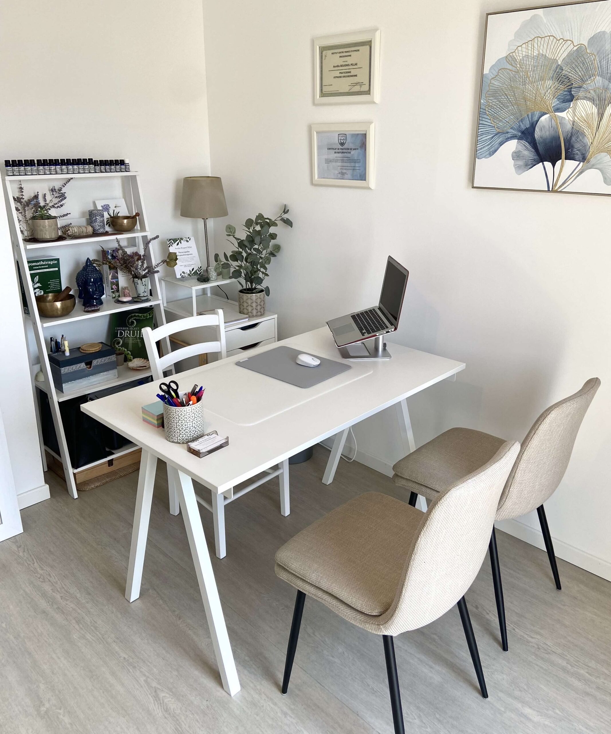 cabinet thérapeute SE somatic experiencing - IFS Internal Family Systems - Psychopraticienne accompagnement - émotionnel - coaching